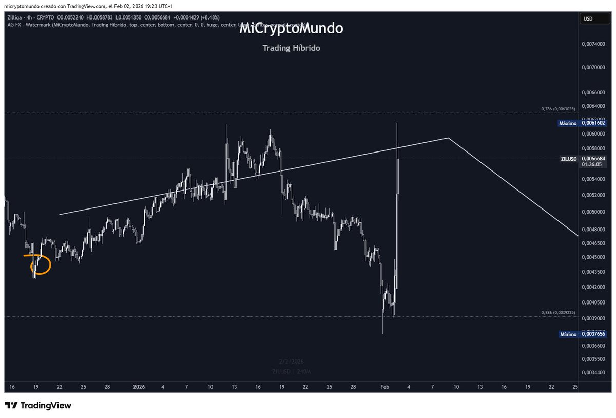MiCryptoMundo 🏊🛡️ tweet media