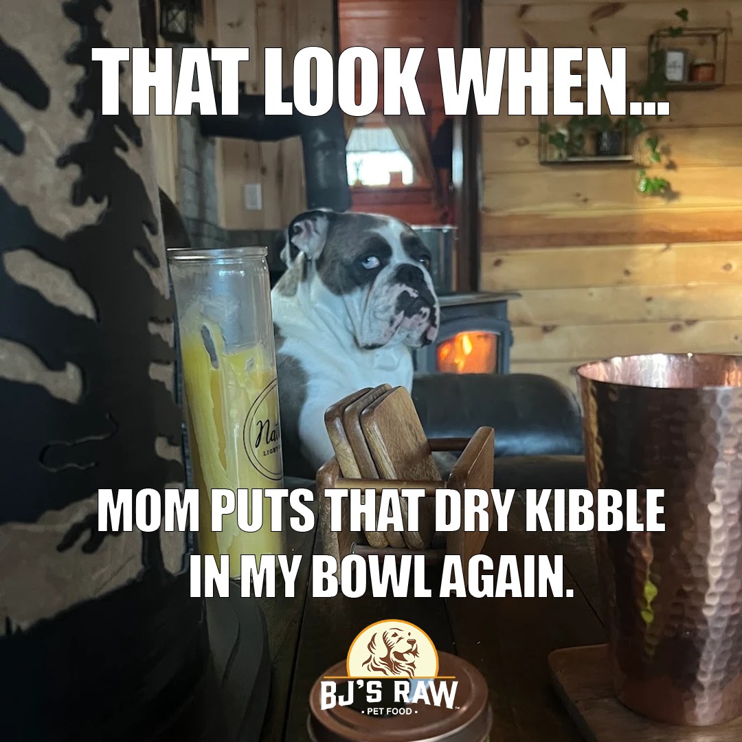 bjsrawpetfood's tweet image. PLEASE, NO MORE KIBBLE MOM!🐶

_______________________________
#rawpetfood #rawdogfood #saynottokibble #kibblesucks #rawfeedingcommunity #petfood #dogfood #dogmeme #dogsofinstagram