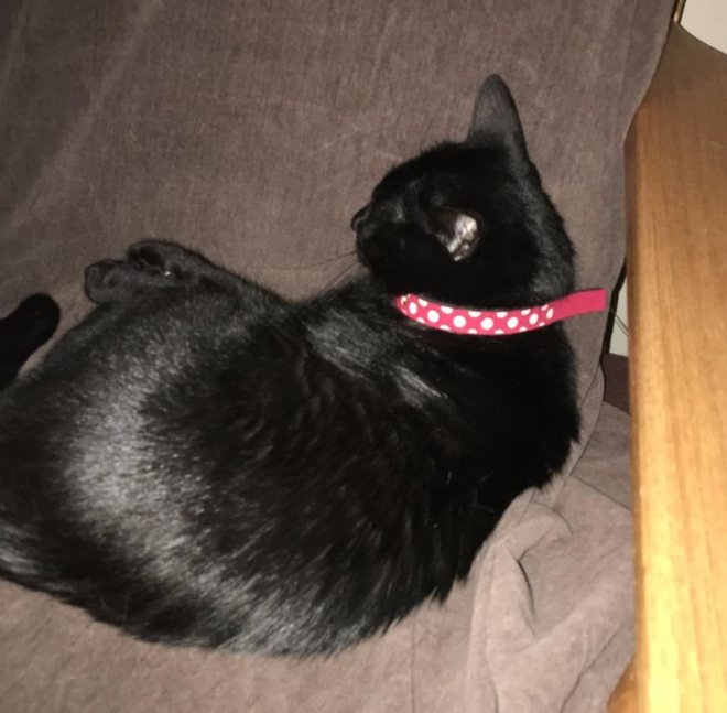 xpecting's tweet image. 浅い女 🐍