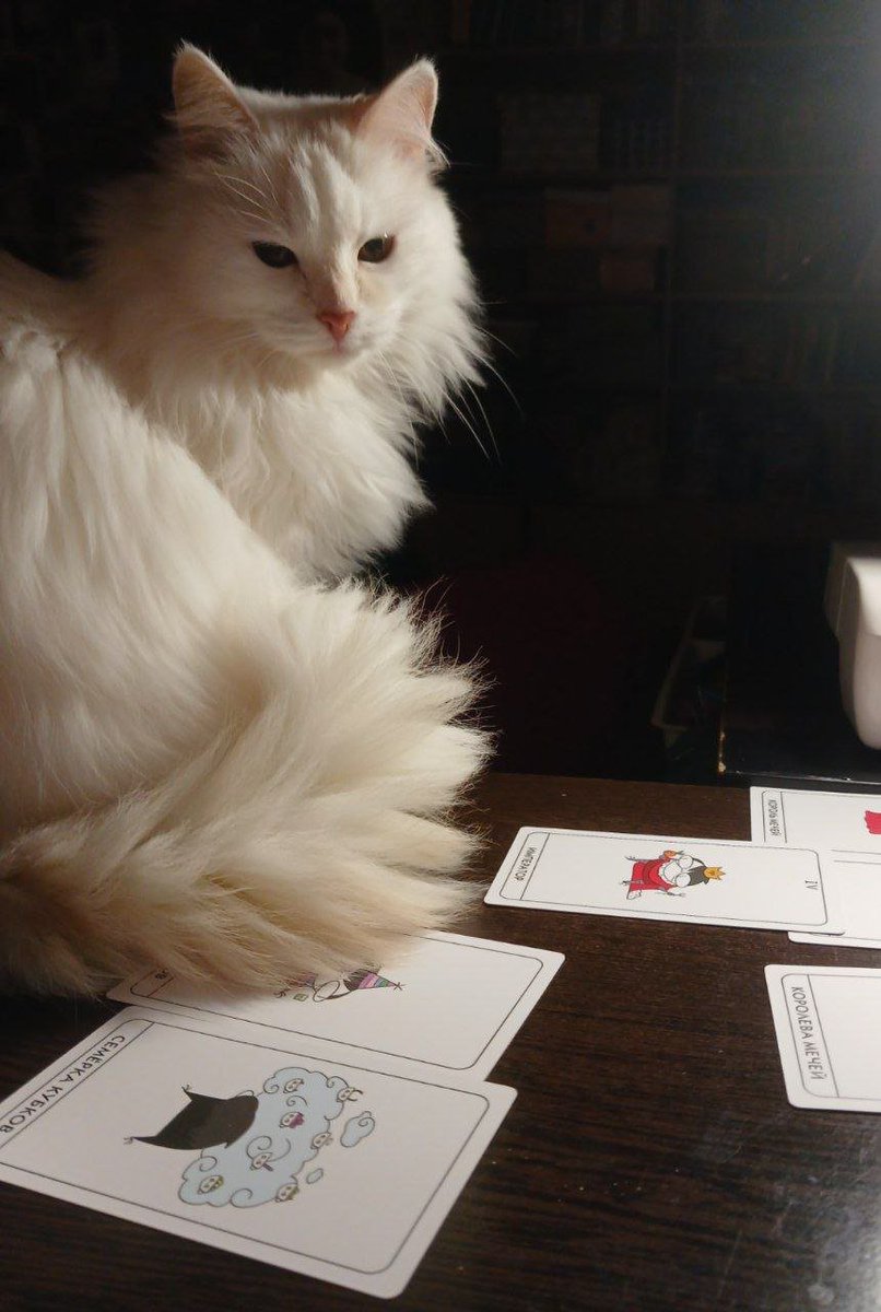 кроличье ушко tweet media