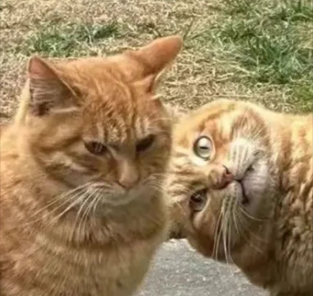 "He's doing it again, isn't he?"