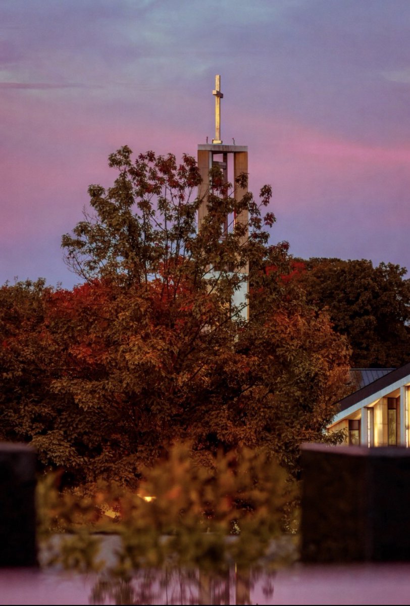 Louis Del Forno II tweet media