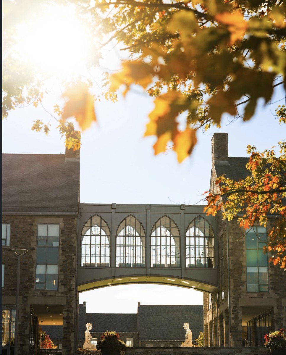 Louis Del Forno II tweet media