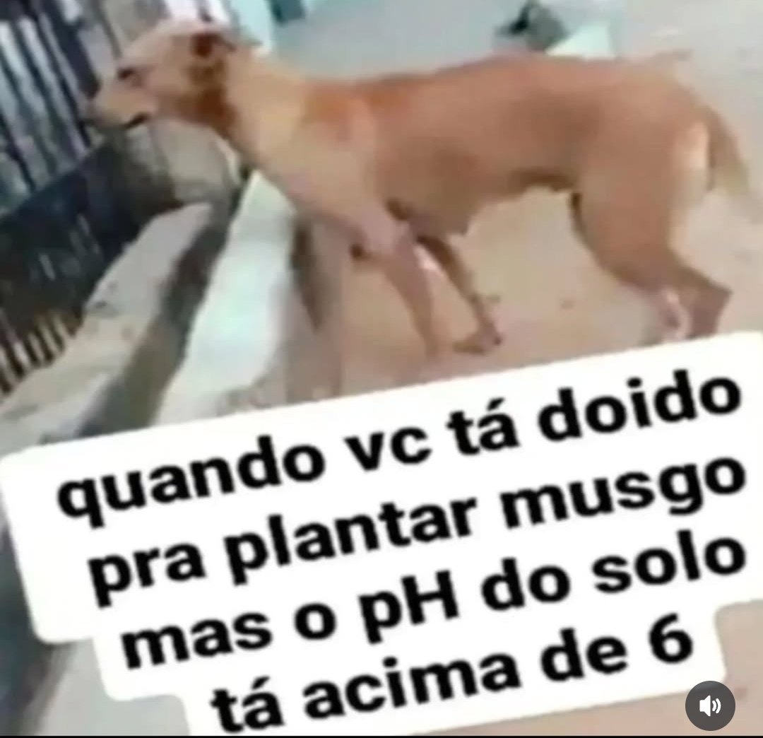 perolasbroxada's tweet photo. https://t.co/QedbPXCpy0