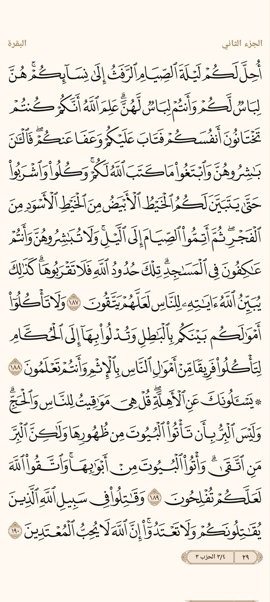 ْمحمد علام tweet media