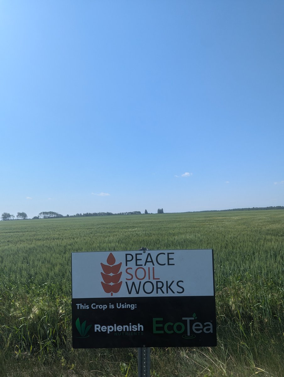 Peace Soil Works tweet media