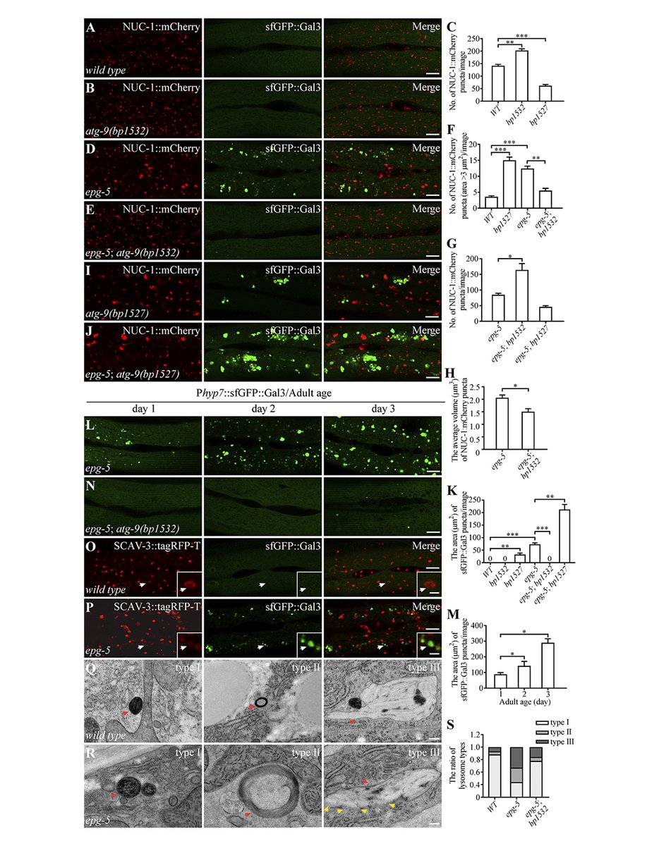Journal of Cell Biology tweet media