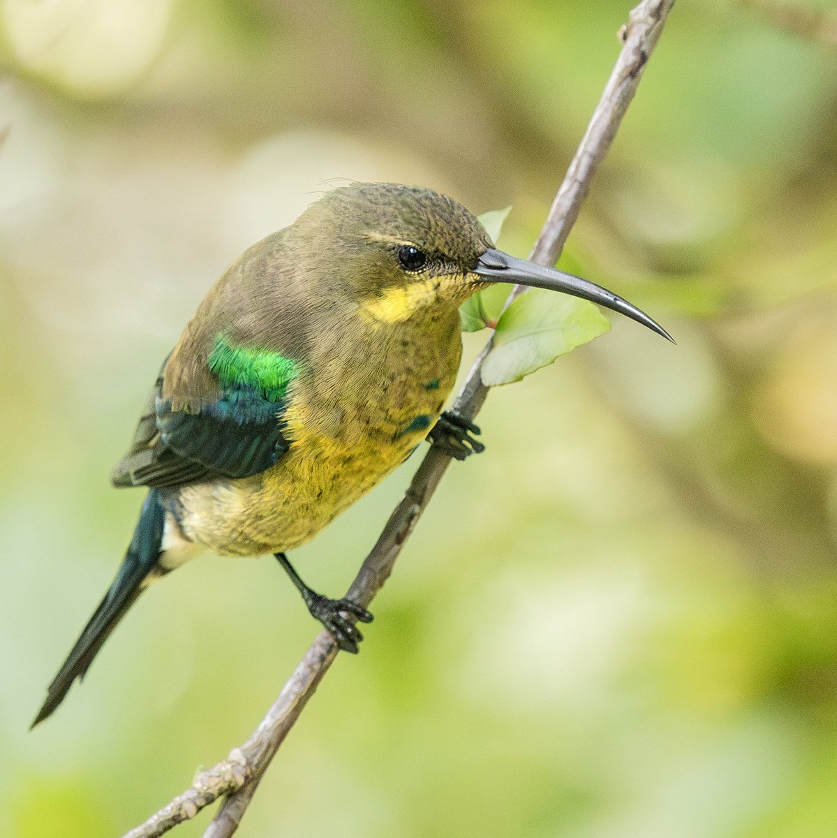 Photography Tricks and Tips tweet media