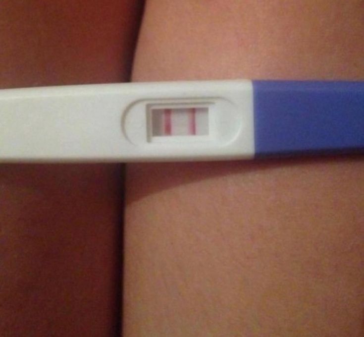 foxyVT_'s tweet photo. hola gente de twitter, vengo preocupado porque luego del delicioso que hicimos  ns quien no se puso protección y me termino embarazando, ns que voy a hacer con este bebe. tengo pensado llamarlo carlos 
Pd: gei si leíste esto
Pd2: era un reto del día de los inocentes
#Vtubers #xD https://t.co/fnzRmaMCB8