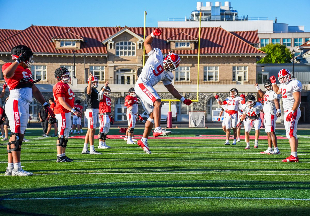 Thaddeus Wolf tweet media