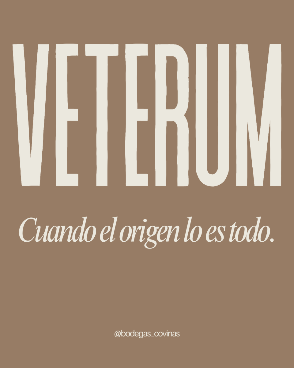 Bodegas_Covinas's tweet photo. VETERUM nace de viñedos seleccionados, de parcelas concretas que tienen algo especial que decir.
Aquí el vino no se interpreta: se respeta.
Pura expresión de nuestra tierra. 🍷✨

https://t.co/XXjWev6QRg https://t.co/tJNKaZIOlH