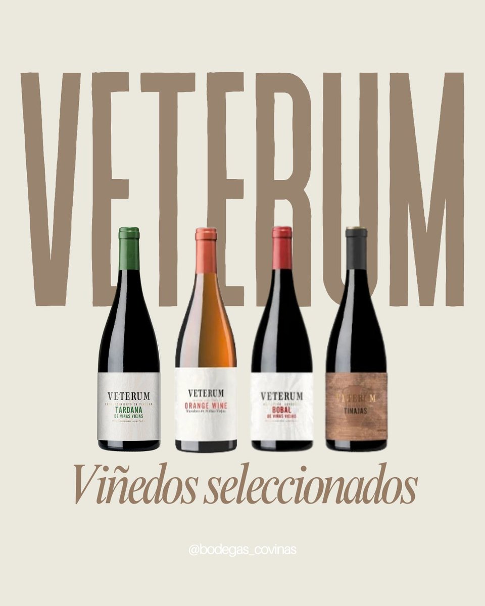 Bodegas_Covinas's tweet photo. VETERUM nace de viñedos seleccionados, de parcelas concretas que tienen algo especial que decir.
Aquí el vino no se interpreta: se respeta.
Pura expresión de nuestra tierra. 🍷✨

https://t.co/XXjWev6QRg https://t.co/tJNKaZIOlH