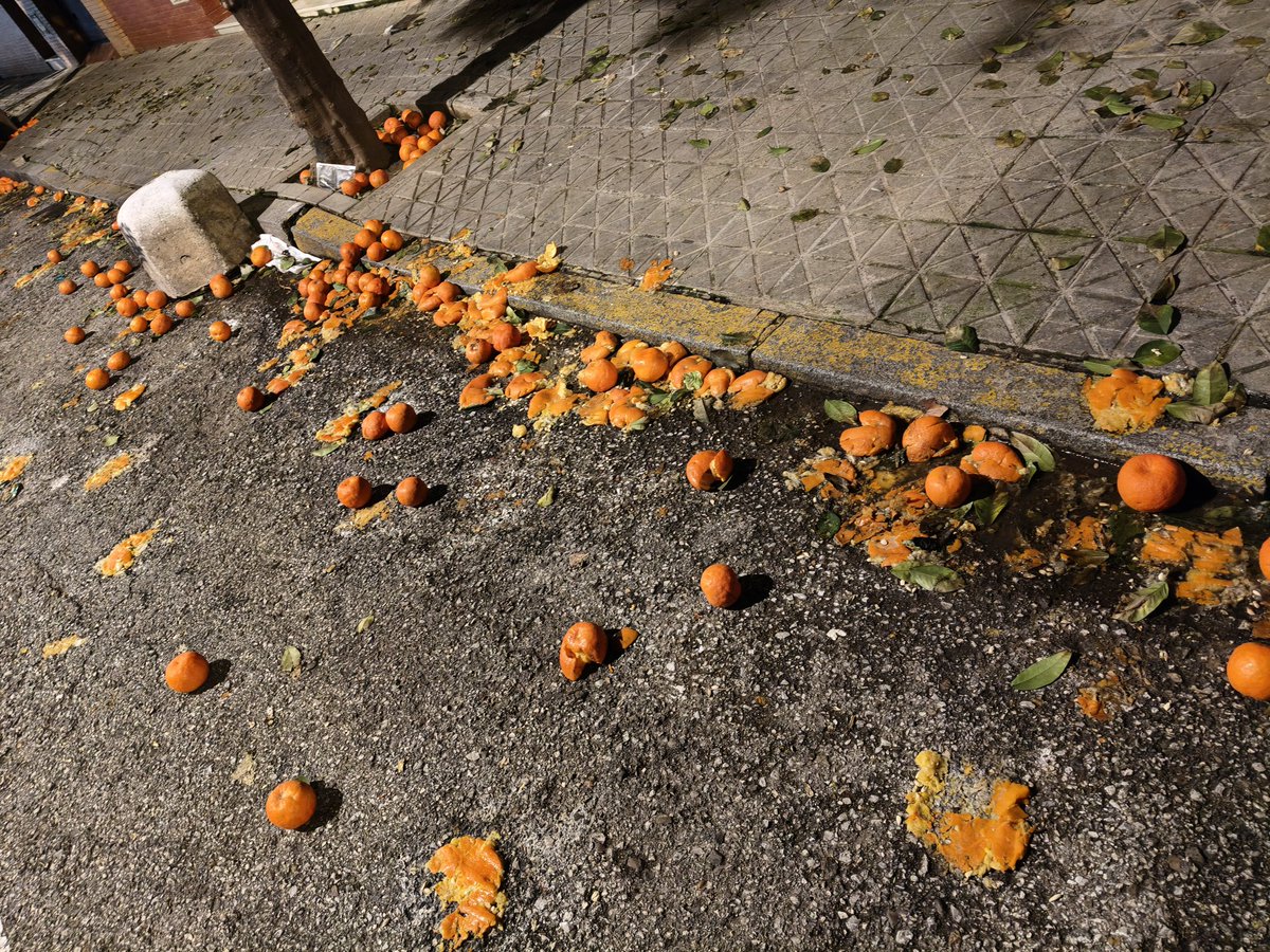 Rubén Sánchez tweet media