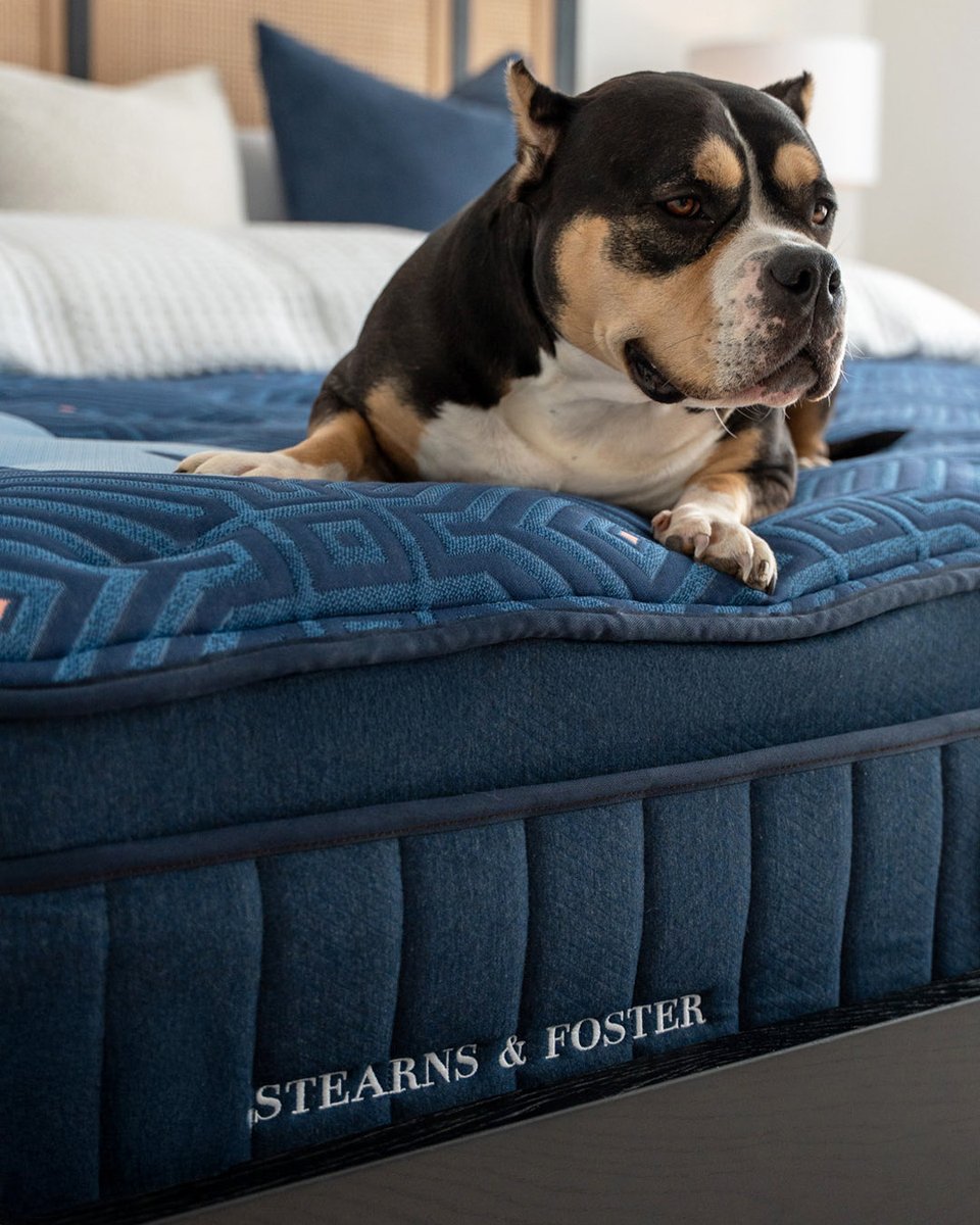 Stearns&FosterCanada tweet media