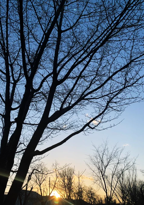 本日もお疲れ様でした〜 写真はいつかみた空