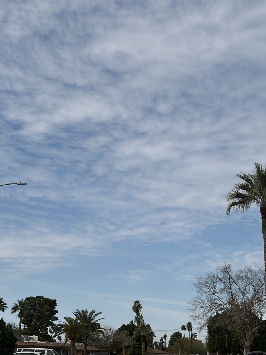 K.y.l.i.e tweet media