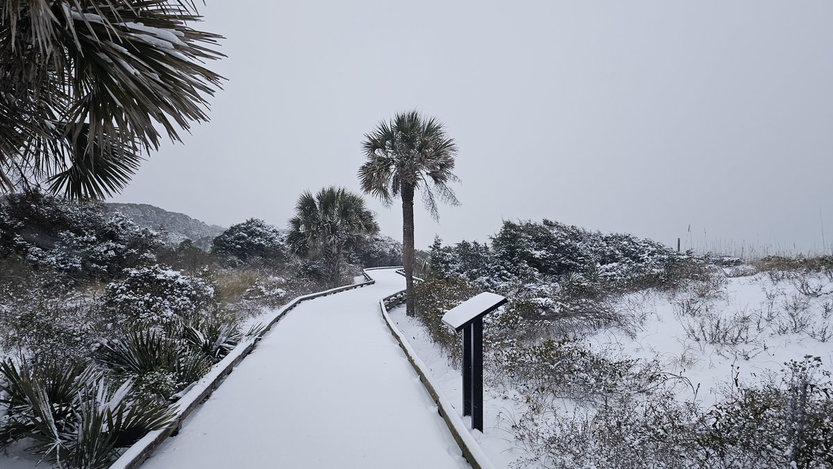Myrtle Beach State Park tweet media