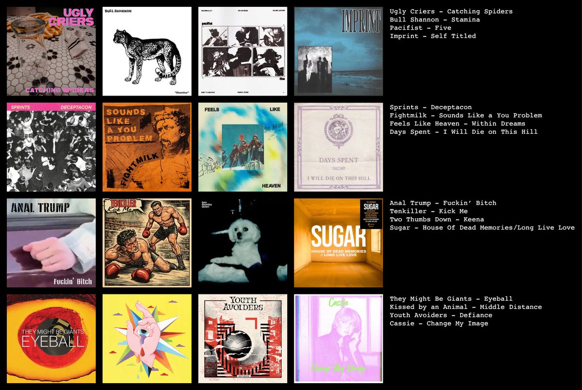 Punk Lotto Pod tweet media