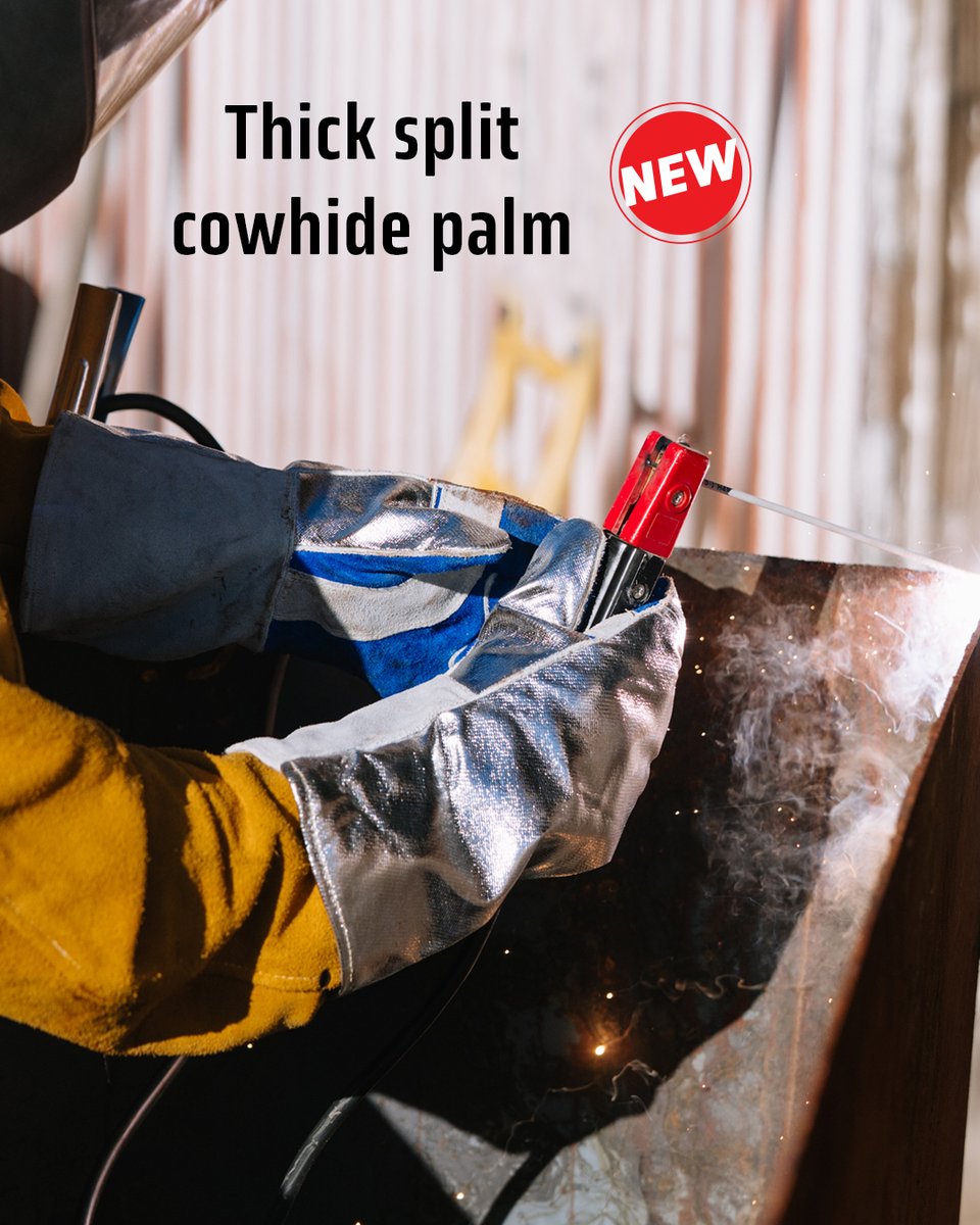 Black Stallion | BSX tweet media