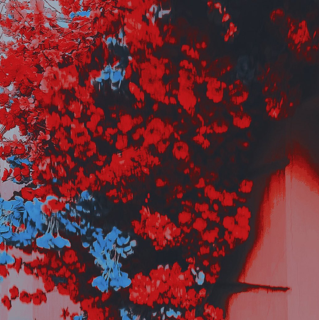 ‍ ‍ ‍‍ ‍ ‍ ‍‍ ‍𓏲 𝓣͟𝒂͟𝒏͟𝒋𝒊𝒓𝒐 。。❜ ‍ ‍ (@chlmeraa) on Twitter photo 