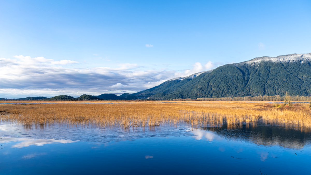 Canada is home to some of the most beautiful landscapes in the world. On #WorldWetlandsDay, let’s remember to protect and appreciate the beauty of our marshes, fens, ponds, and lakes. Which Canadian landscape do you most enjoy? 🌎