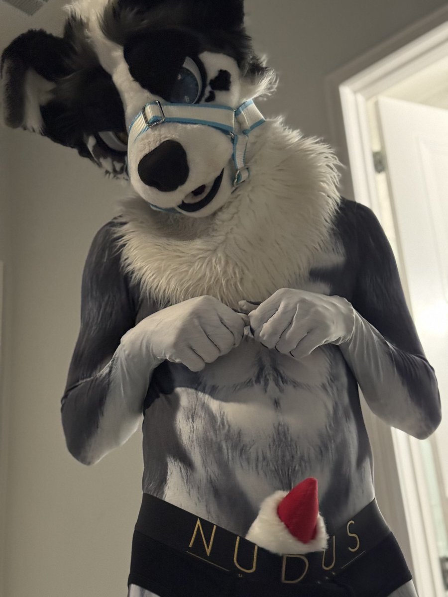 DIOR AFTERBARK 🐶🐾🔜 ?? tweet media