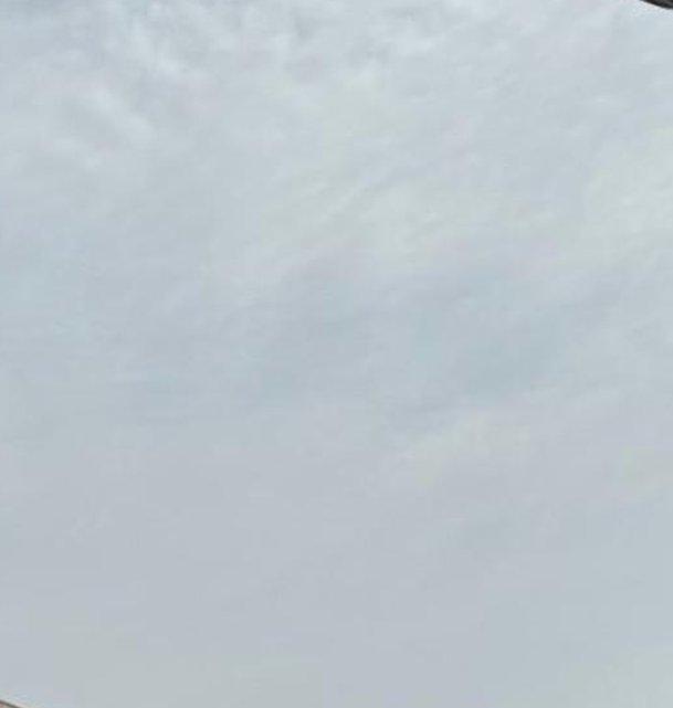 LassiHouse's tweet image. 今日は霧 🏠