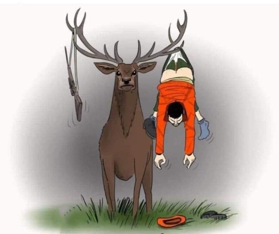 Fauna4Life tweet media