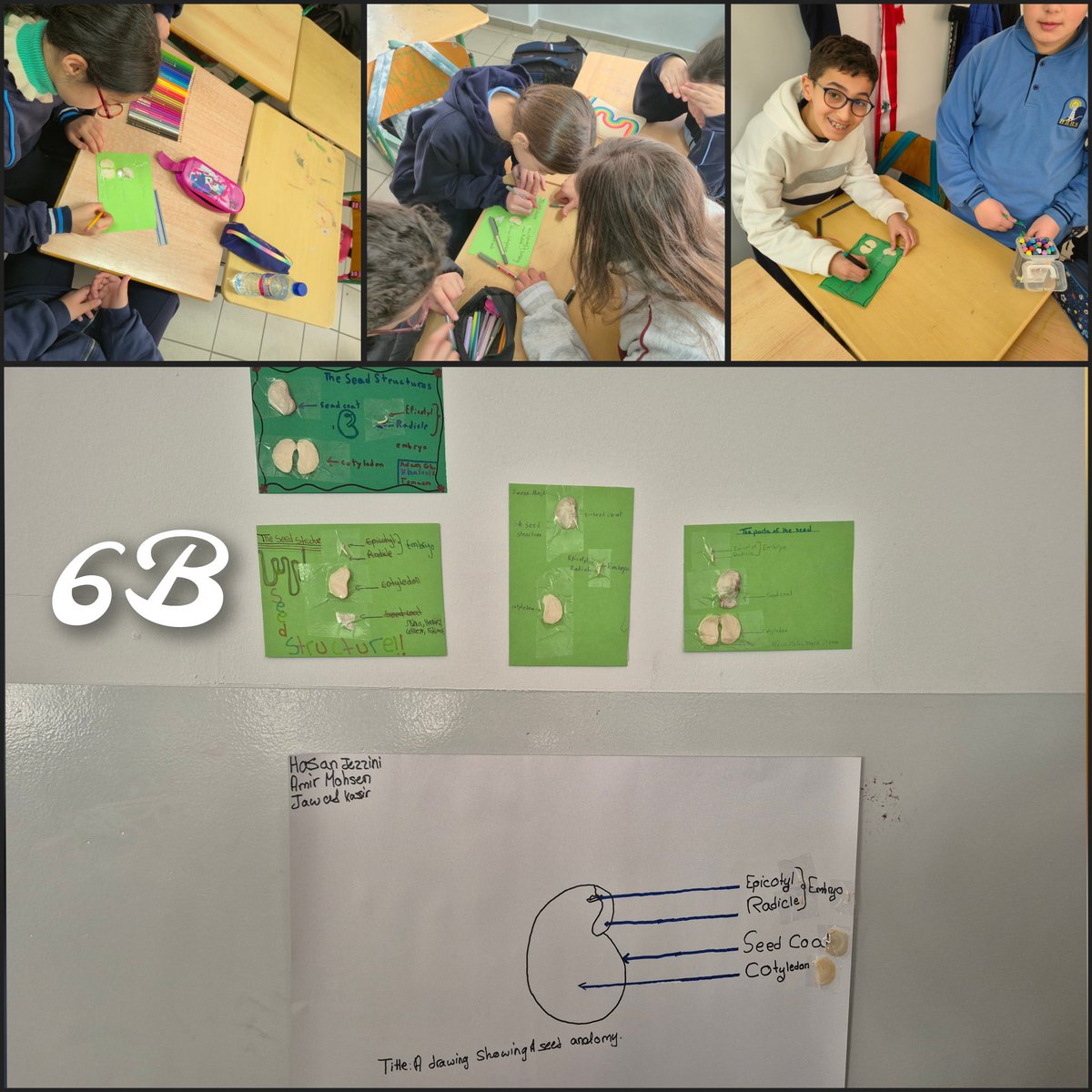 Hala Al-Bathish tweet media