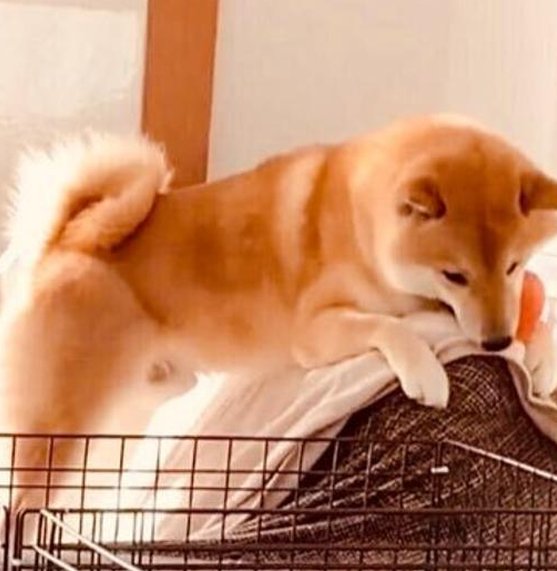 JetX88's tweet image. #日常 学校 👩‍🦲