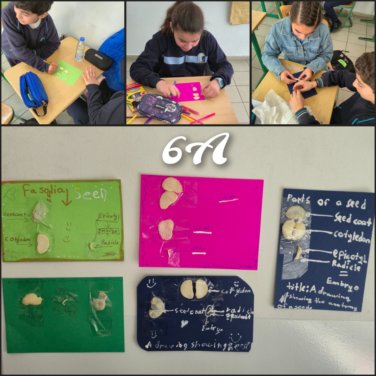 Hala Al-Bathish tweet media