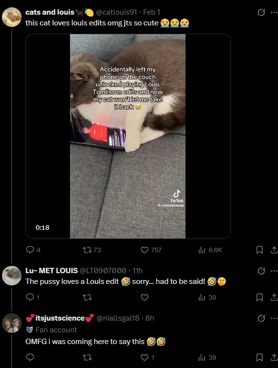 kai🐈‍⬛ karlach's gf tweet media