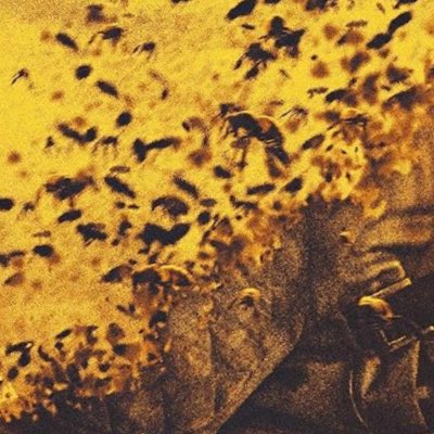 #صورة_جديدة_للملف_الشخصي