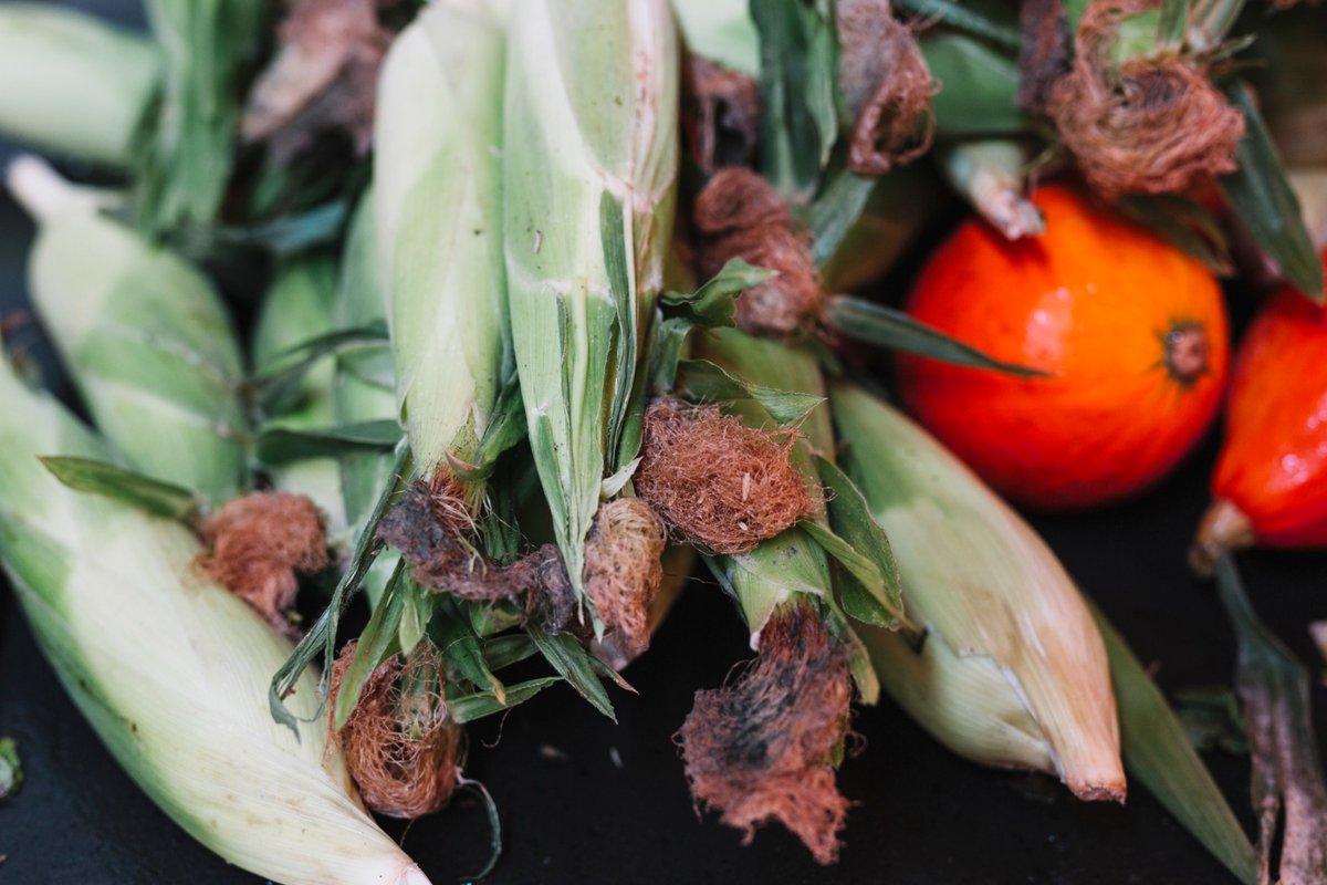 CircularGreece tweet media