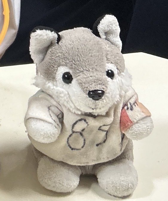 Chawawan23's tweet photo. 【拡散希望｜落とし物】
1/25 上野東京ライン高崎行きで、
息子が大切な犬のぬいぐるみを失くしてしまいました。

新町駅(群馬県)17:21下車、直前まで目撃あり。
写真のぬいぐるみです。
どんな小さな情報でもご連絡ください😢

#拡散希望 #落とし物 #ぬいぐるみ
#上野東京ライン #JR東日本 #新町駅 https://t.co/u0Su2GW556