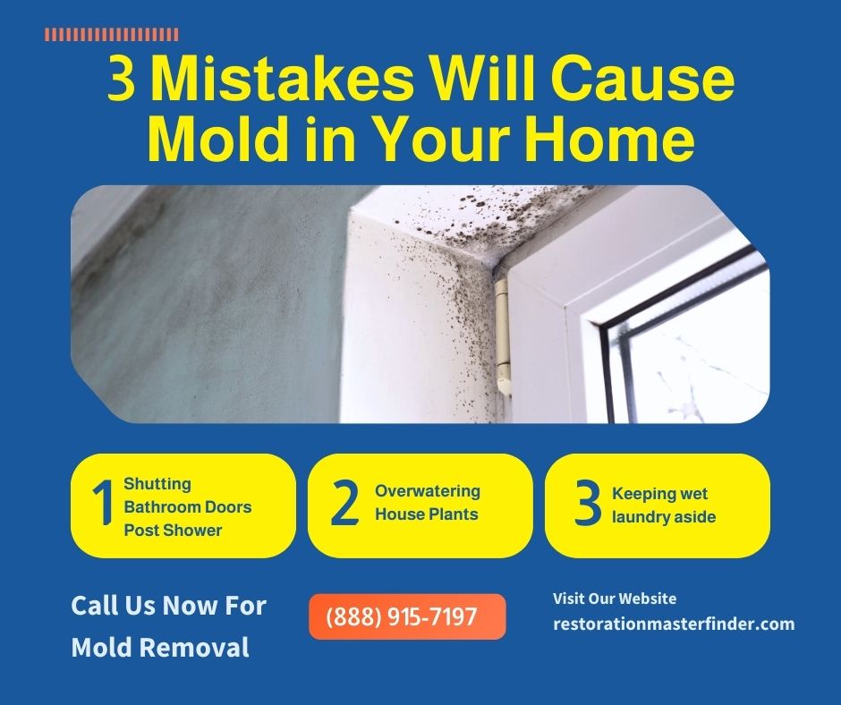 RestorationMaster tweet media