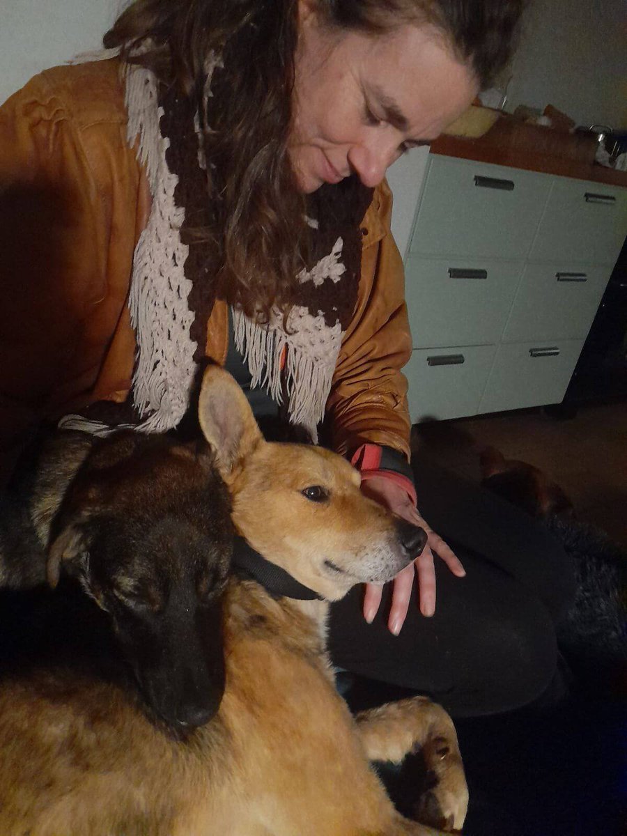 Karen Soeters tweet media