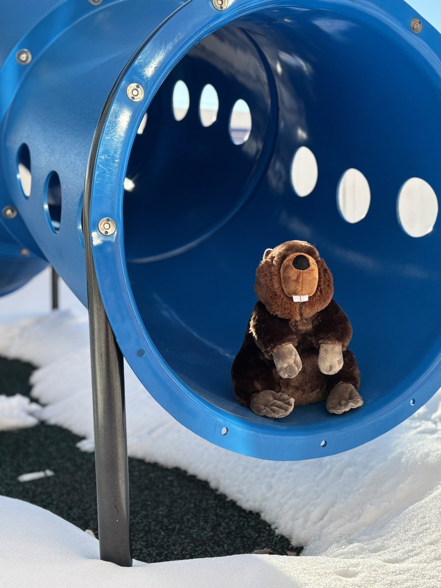 Belleville Beginners PreK Program tweet media