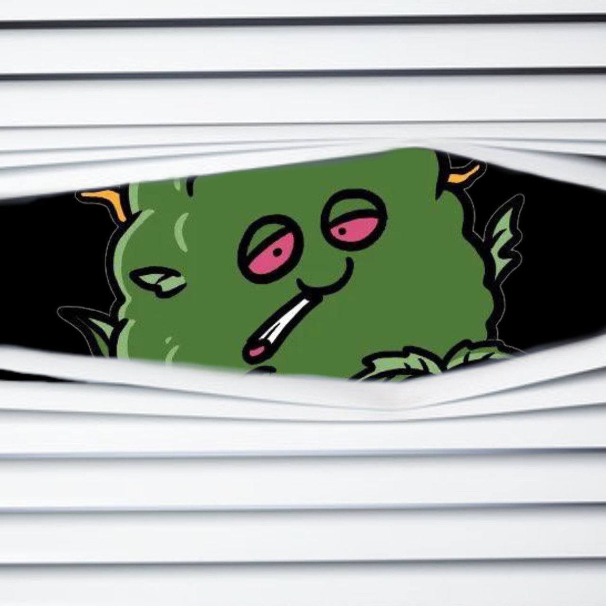 Me, the very first of my kind on #BNB chain

We have some friendly advice for you actually, its what we have done slowly but surely since 2021- turn off the noise… build n build