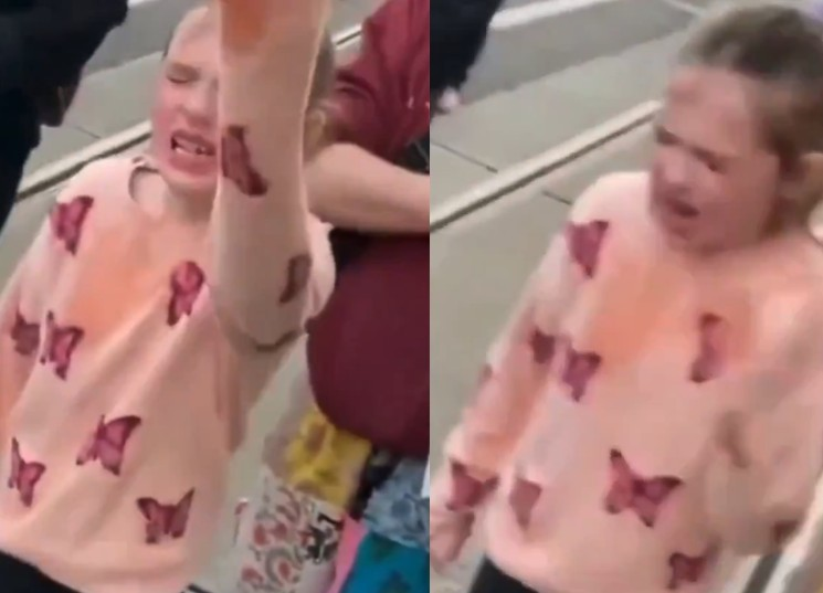 Occupy Democrats tweet media