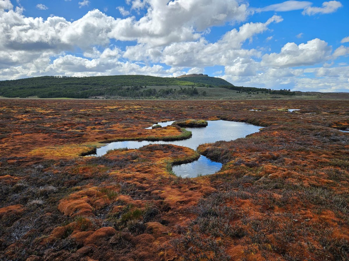 Instituto Milenio BASE tweet media