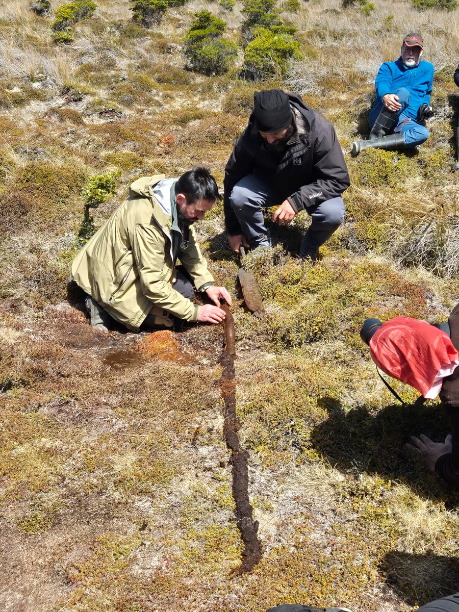 Instituto Milenio BASE tweet media
