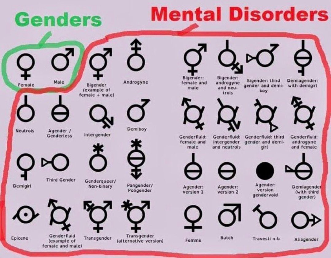 For practical day to day purposes, the only two genders are male and female.

That’s it.