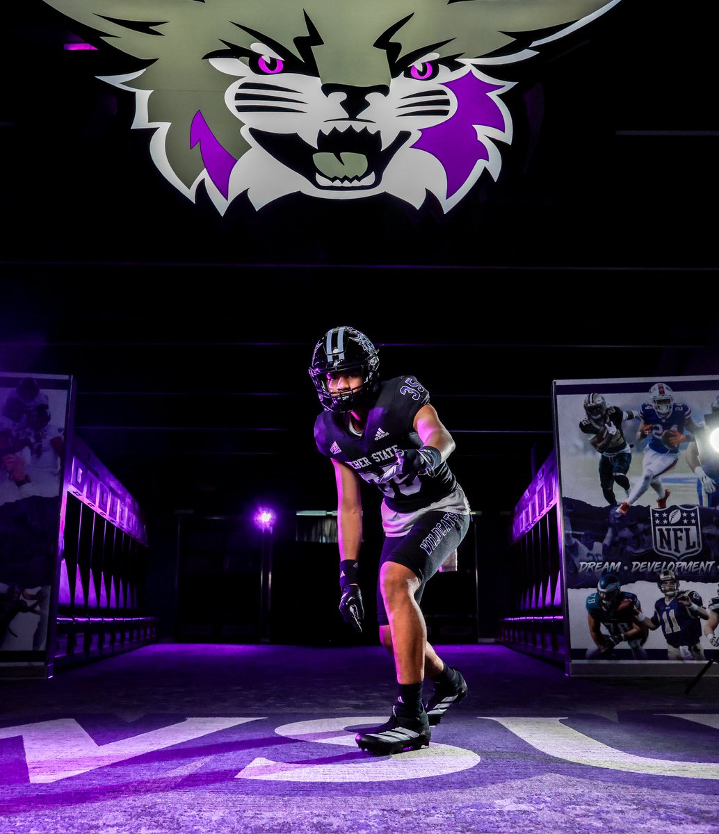 Tonga Tafisi tweet media