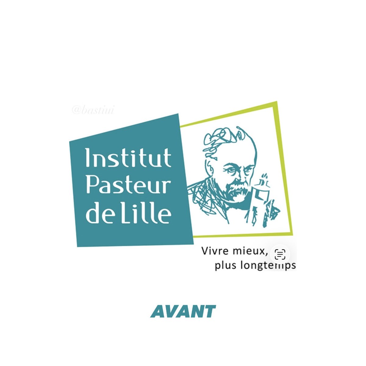 Basti Ui ✌️ tweet media