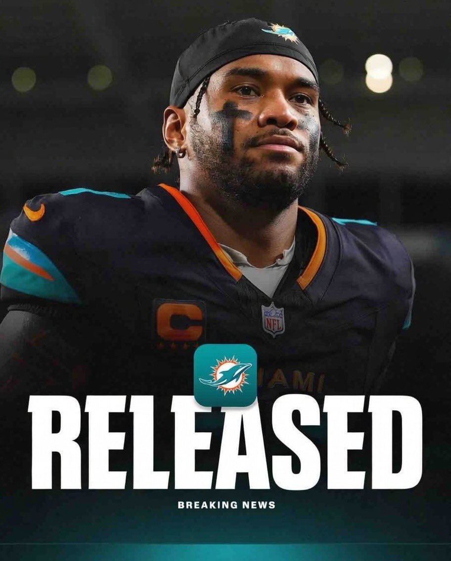 #1 FIN Fan 🐬 tweet media