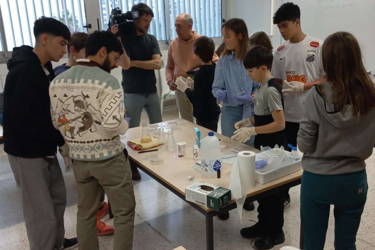 insaferrer tweet media