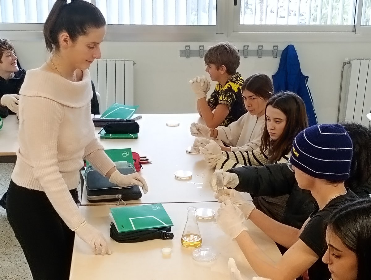 insaferrer tweet media