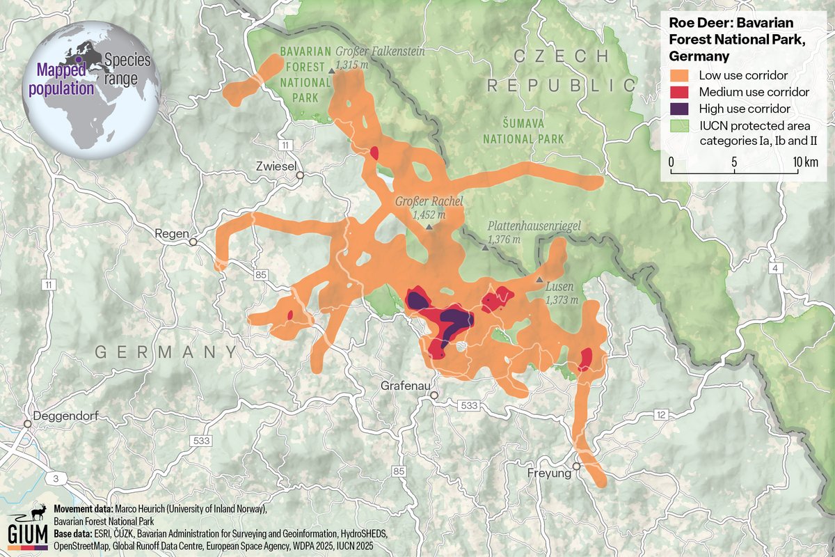 Global Initiative on Ungulate Migration tweet media