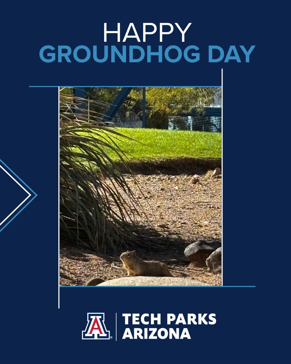 Tech Parks Arizona tweet media